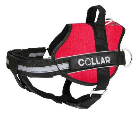 Collar (Коллар) DogExtremе Police – Шлея для собак со сменной надписью 35-45 см Черный