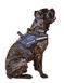 Collar (Коллар) DogExtremе Police – Шлея для собак со сменной надписью 35-45 см Черный
