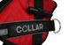 Collar (Коллар) DogExtremе Police - Шлея для собак зі змінним написом 35-45 см Чорний