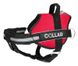 Collar (Коллар) DogExtremе Police - Шлея для собак зі змінним написом 35-45 см Чорний