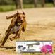 M-Pets (М-Петс) Bazooka Ball Launcher &ndash; Метатель м'ячів для дресирування собаки Комплект