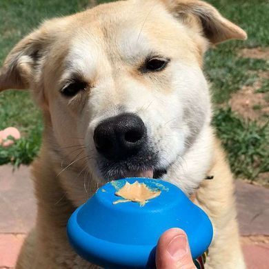 SodaPup (Сода Пап) Spotnik Flying Saucer Treat Dispenser &ndash; Жевательная игрушка-диспенсер Спутник для лакомств из суперпрочного материала для собак, L