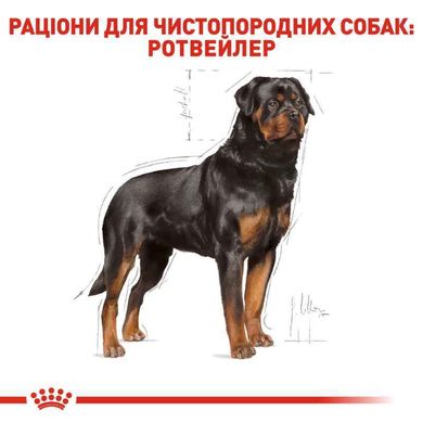 Royal Canin (Роял Канін) Rottweiler Adult - Сухий корм з м'ясом птиці для дорослих собак породи ротвейлер 12 кг