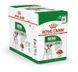 Royal Canin (Роял Канін) Mini Adult - Консервований корм для собак дрібних порід (шматочки в соусі) 85 г