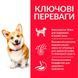 Hill's (Хиллс) Science Plan Adult Small&Mini with Chicken - Сухой корм с курицей для взрослых собак малых и миниатюрных пород, 1,5 кг
