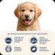 Home Food (Хоум Фуд) Hypoallergenic Puppy Medium/Maxi - Гипоаллергенный сухой корм Форель с рисом для щенков собак средних и крупных пород, 300 г