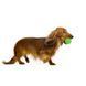 M-Pets (М-Петс) Squeaky Ball Toy &ndash; Іграшка м'ячик, що пищить для собак 6,3 см Зелений