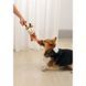 M-Pets (М-Петс) Eco Dog Toy Zia - Эко-игрушка Зиа для собак, 33х26х10 см