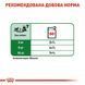 Royal Canin (Роял Канін) Mini Adult - Консервований корм для собак дрібних порід (шматочки в соусі) 85 г