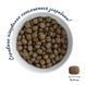 Home Food (Хоум Фуд) Hypoallergenic Puppy Medium/Maxi - Гипоаллергенный сухой корм Форель с рисом для щенков собак средних и крупных пород, 300 г