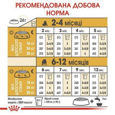Royal Canin (Роял Канін) Bulldog Puppy - Сухий корм для цуценят бульдога, 12 кг