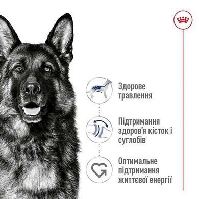 Royal Canin (Роял Канин) Maxi Adult - Корм сбалансированный для взрослых собак крупных пород, 4 кг