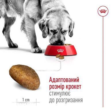 Royal Canin (Роял Канин) Maxi Adult - Корм сбалансированный для взрослых собак крупных пород, 4 кг