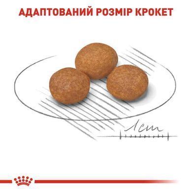 Royal Canin (Роял Канин) X-Small Mature 8 - Сухой корм для миниатюрных собак старше 8 лет, 3 кг