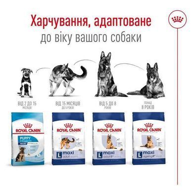 Royal Canin (Роял Канин) Maxi Adult - Корм сбалансированный для взрослых собак крупных пород, 4 кг