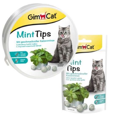 GimСat (ДжимКэт) Cat-Mintips - Витаминизированное лакомство с кошачьей мятой для кошек 40 г
