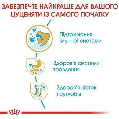 Royal Canin (Роял Канін) Bulldog Puppy - Сухий корм для цуценят бульдога, 12 кг