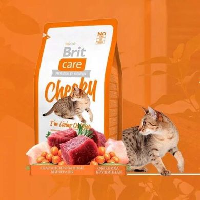 Brit Care (Бріт Кеа) Cat Cheeky - Сухий корм з олениною та рисом для дорослих котів, які мешкають на вулиці 400 г