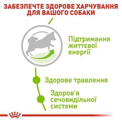 Royal Canin (Роял Канин) X-Small Mature 8 - Сухой корм для миниатюрных собак старше 8 лет, 3 кг