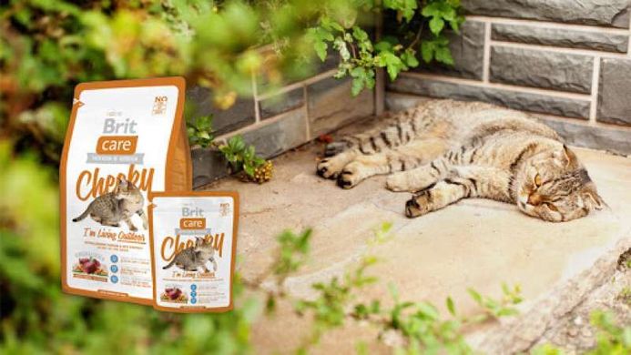 Brit Care (Бріт Кеа) Cat Cheeky - Сухий корм з олениною та рисом для дорослих котів, які мешкають на вулиці 400 г