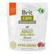 Brit Care (Брит Кеа) Dog Hypoallergenic Adult Small Breed Lamb - Сухой монопротеиновый корм с ягнёнком для собак малых пород, 1 кг