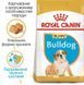 Royal Canin (Роял Канін) Bulldog Puppy - Сухий корм для цуценят бульдога, 12 кг