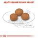 Royal Canin (Роял Канин) X-Small Mature 8 - Сухой корм для миниатюрных собак старше 8 лет, 3 кг