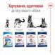 Royal Canin (Роял Канин) Maxi Adult - Корм сбалансированный для взрослых собак крупных пород, 4 кг