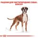 Royal Canin (Роял Канін) Boxer 26 Adult - Сухий корм для боксера 12 кг