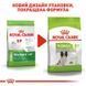 Royal Canin (Роял Канин) X-Small Mature 8 - Сухой корм для миниатюрных собак старше 8 лет, 3 кг