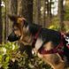 Coastal (Костал) New Earth Soy Dog Harness - Экошлея соевая для собак 1х30-45 см Фиолетовый