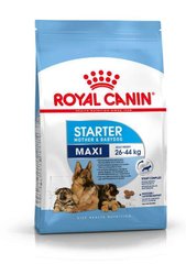 Royal Canin (Роял Канін) Maxi Starter Mother&Babydog - Сухий корм для цуценят і годуючих самок великих порід 1 кг