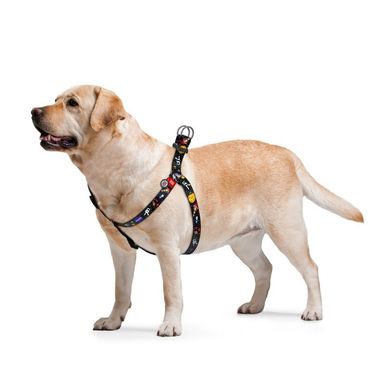Collar (Коллар) WAUDOG Nylon - Шлея для собак анатомическая с рисунком "NASA" и QR паспортом 1,5х40-55 см
