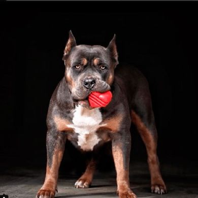 SodaPup (Сода Пап) Rubber Heart – Жевательная игрушка-диспенсер Сердце для лакомств из суперпрочного материала для собак L Красный
