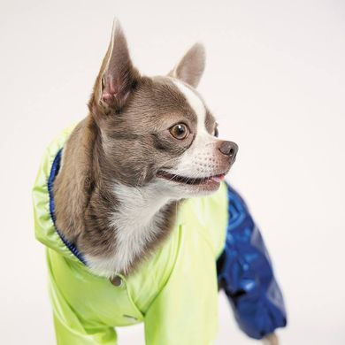 Pet Fashion (Пет Фешн) The Mood Pulse - Дождевик для собак (зеленый/синий) XXS (18-22 см)