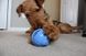 Jolly Pets (Джолли Пэтс) MONSTER BALL – Игрушка мяч для лакомств Монстр-Мячик для собак 6,5 см