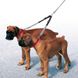 Ferplast (Ферпласт) Ergocomfort Elastic Twin - Розгалужувач для повідця для двох собак 2,5x49-59 см