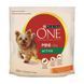 Purina ONE (Пуріна Ван) Mini Active &ndash; Сухий корм з куркою і рисом для активних собак малих порід, 1,5 кг