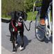 Trixie (Трикси) Biker-Set - Крепление на велосипед для прогулок с собакой 50 см