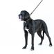 Collar (Коллар) EVOLUTOR - Поводок "Эволютор" для собак средних, крупных и гигантских пород 2,5x120 см Черный