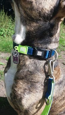 Max&Molly (Макс енд Моллі) Smart ID Collar - Нашийник для собак Matrix Lime Green зеленого кольору, XS