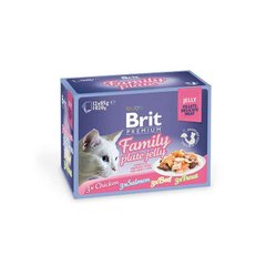 Brit Premium (Брит Премиум) Cat Family Plate Jelly - Набор паучей "Семейная тарелка" в желе для кошек 12х85 г