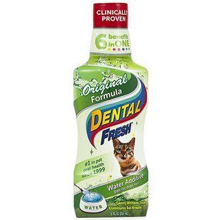 SynergyLabs (Сінерджі Лабс) Dental Fresh Cat - рідина від зубного нальоту і запаху з пащі котів 237 мл
