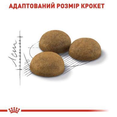 Royal Canin (Роял Канин) Indoor Long Hair - Сухой корм с птицей для длинношерстных кошек 400 г
