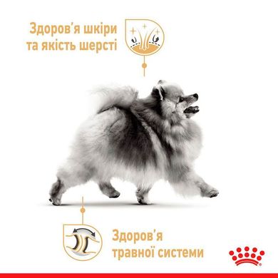 Royal Canin (Роял Канин) Pomeranian Loaf – Влажный корм с мясом для взрослых собак породы Померанский шпиц (паштет) 85 г