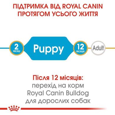 Royal Canin (Роял Канін) Bulldog Puppy - Сухий корм для цуценят бульдога 12 кг