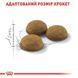 Royal Canin (Роял Канин) Indoor Long Hair - Сухой корм с птицей для длинношерстных кошек 400 г