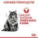 Royal Canin (Роял Канин) Dental Care - Сухой корм с птицей для предотвращения зубного налета, 1,2 кг + 300 г