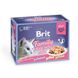 Brit Premium (Бріт Преміум) Cat Family Plate Jelly - Набір паучів "Родинна тарілка" в желе для котів 12х85 г