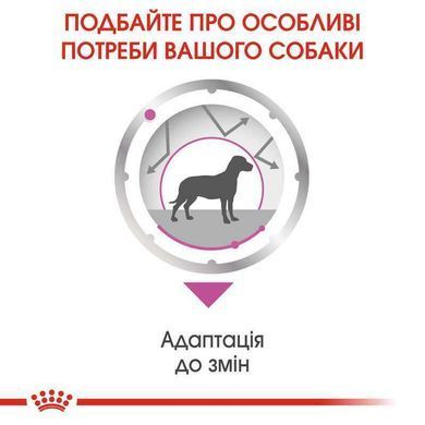Royal Canin (Роял Канин) Relax Care Loaf - Консервированный корм для собак разных размеров, чувствительных к изменениям среды (паштет) 85 г